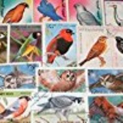 sellos para coleccionistas: motivos 100 diferentes Aves sellos [OFERTAS]