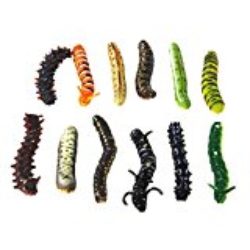 Modelo Gusano Revirado Plastico Pretende 12pcs Juguete Truco Multicolor [OFERTAS]