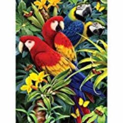 Pintura Royal Brush de tama&ntilde;o peque&ntilde;o, 22,2 x 29,8 cm, dise&ntilde;o de guacamayos majestuosos [OFERTAS]