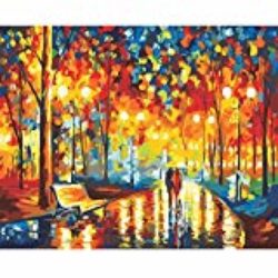 Pintura al óleo de bricolaje por números Adultos regalos de San Valentín con madera ENMARCADA Pigmentos acrílicos no tóxicos Serie 16x20IN-Amor-Walking [OFERTAS]