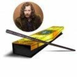 Magic Experience Store Sirius Black Varita Inspirada Reino Edition (Harry Potter) [OFERTAS]