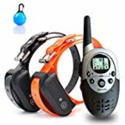 Havenfly 1100 Yardas Populares Perro Profesional Collar de Entrenamiento Collar de Perro Remoto para Perros con pitido, Vibración y luz, Recargable e Impermeable e-Collar Entrenador para 2 Perros [OFERTAS]
