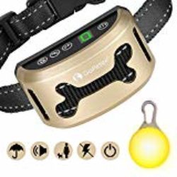 GoPetee Collar Antiladridos Recargable para Perros Pequeños Medianos y Grandes Sin Choque Collar Adiestramiento Perros Utiliza Sonidos y Vibraciones Audibles, Chip Avanzado con 7 Nieveles Ajustables de Sensibilidad, Correa de Cuello de Nylon Flexible y Ajustable (Recargable) [OFERTAS]