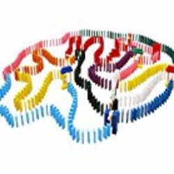 Lewo 1000 piezas de madera dominó Set Classic bloques de construcción juegos de carreras [OFERTAS]