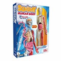 Squishy Human Body (SmartLAB) [OFERTAS]