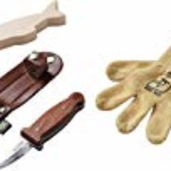 Haba 302622 Terra Kids Base de tallar Set, niño Juguete [OFERTAS]