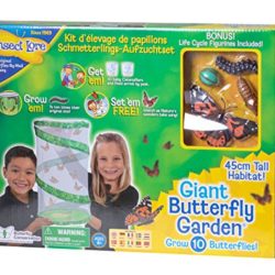 Giant Butterfly Garden [OFERTAS]