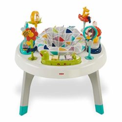 Fisher-Price – Centro de actividades 2 en 1 (Mattel FVD25) [OFERTAS]