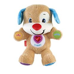 Fisher-Price – Perrito primeros descubrimientos, 26 cm (Mattel CDL25) [OFERTAS]