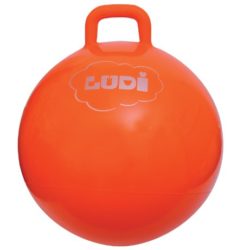 Ludi – Pelota de gimnasia (2782) [OFERTAS]