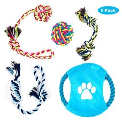 Juego de Juguetes Para Perros, Perros Duraderos Para Masticar Juguetes o Herramientas de Entrenamiento, Multicolores a su Querido Cachorro y Mantenerlos Aptos / Regalo Atractivo Set para Perros Pequeños a Medianos 5 PCS [OFERTAS]